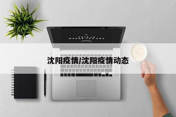 沈阳疫情/沈阳疫情动态