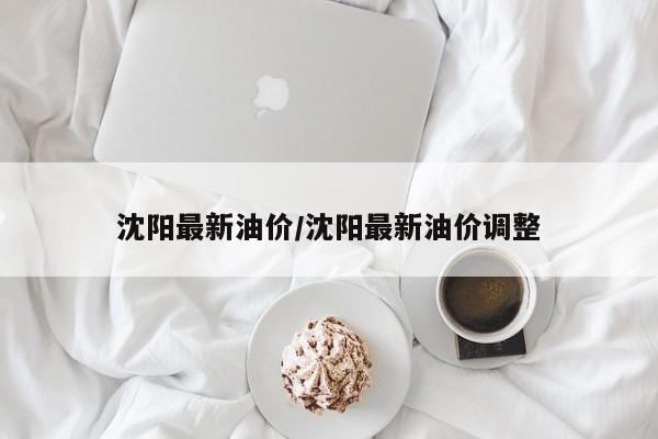 沈阳最新油价/沈阳最新油价调整