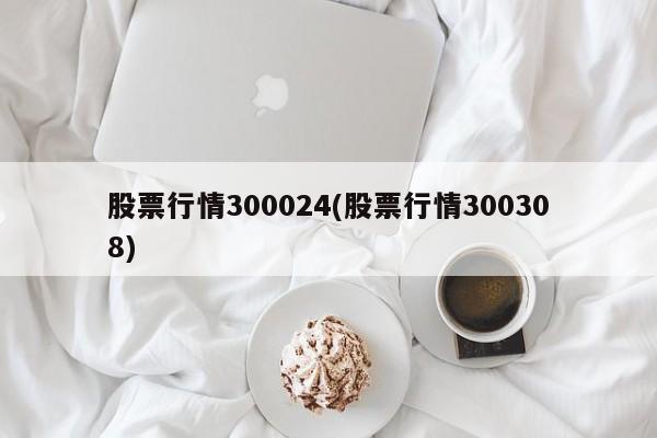 股票行情300024(股票行情300308)