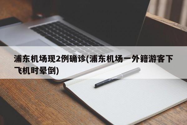 浦东机场现2例确诊(浦东机场一外籍游客下飞机时晕倒)