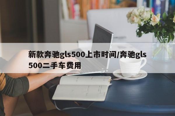 新款奔驰gls500上市时间/奔驰gls500二手车费用